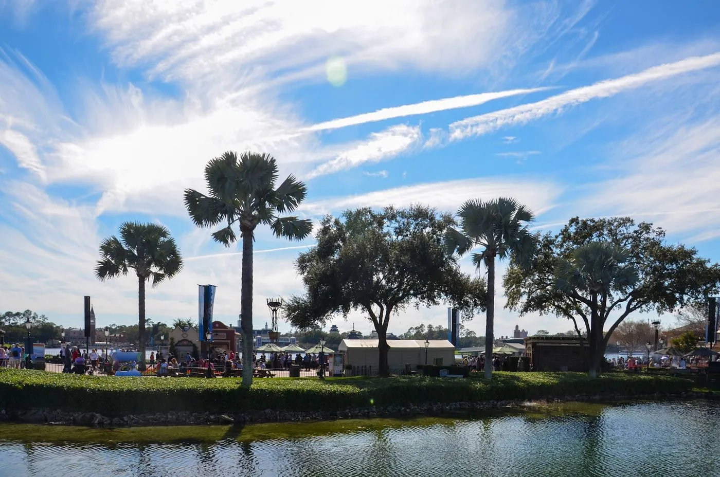 Palm trees and a lake in the Kissimmee and Orlando area